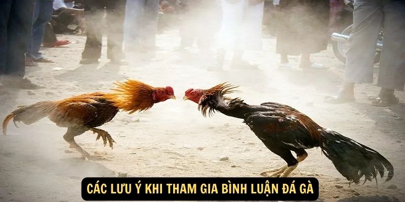 Các lưu ý khi tham gia bình luận đá gà