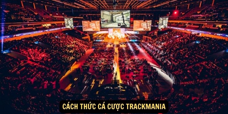 Cách thức cá cược TrackMania