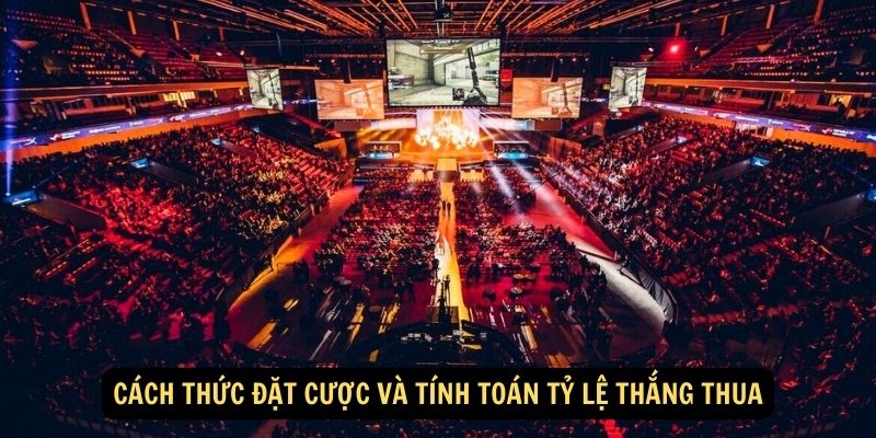 Cách thức đặt cược và tính toán tỷ lệ thắng thua