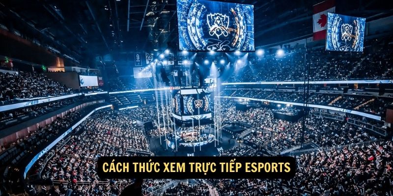 Cách thức xem trực tiếp Esports