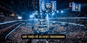 Gioi thieu ve Ca cuoc TrackMania