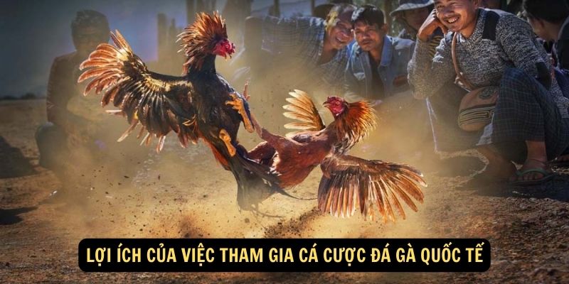 Lợi ích của việc tham gia cá cược đá gà quốc tế