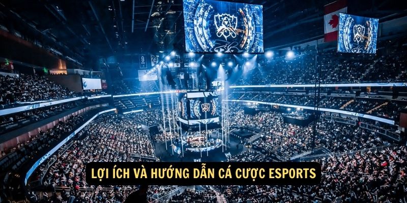 Loi ich va Huong Dan Ca Cuoc Esports