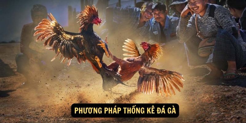 Phương pháp thống kê đá gà