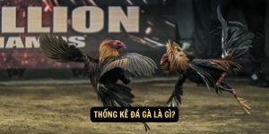 Thong ke da ga la gi