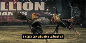 Y nghia cua viec binh luan da ga